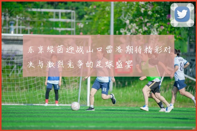 东京绿茵迎战山口雷洛期待精彩对决与激烈竞争的足球盛宴
