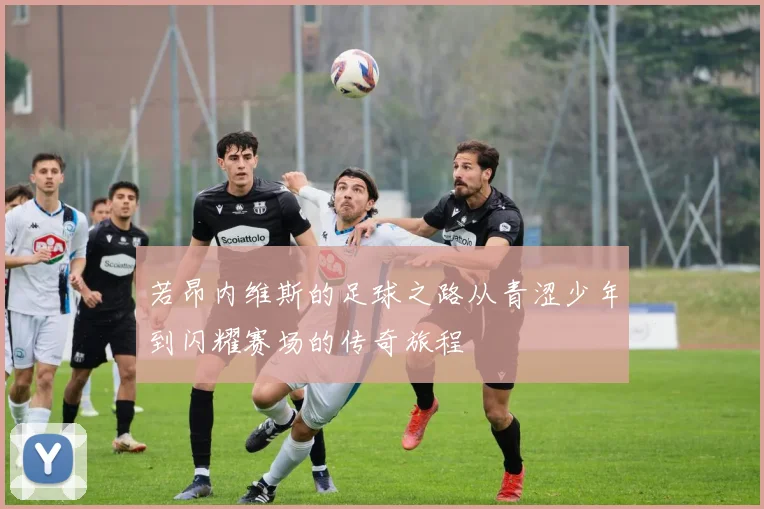 若昂内维斯的足球之路从青涩少年到闪耀赛场的传奇旅程