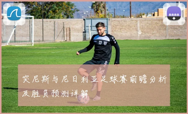 突尼斯与尼日利亚足球赛前瞻分析及胜负预测详解