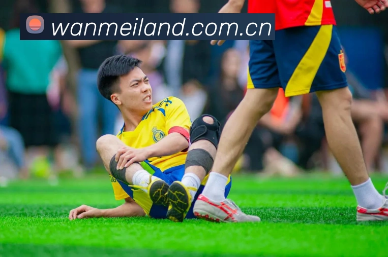 多媒体互动体验