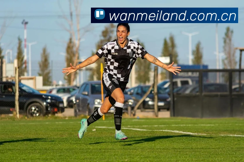 完美体育APP 体育赛事宣传图